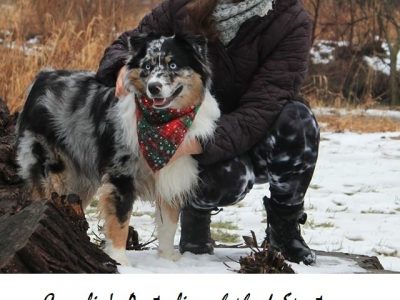 Cornelia’s Australian shepherd, Spartan