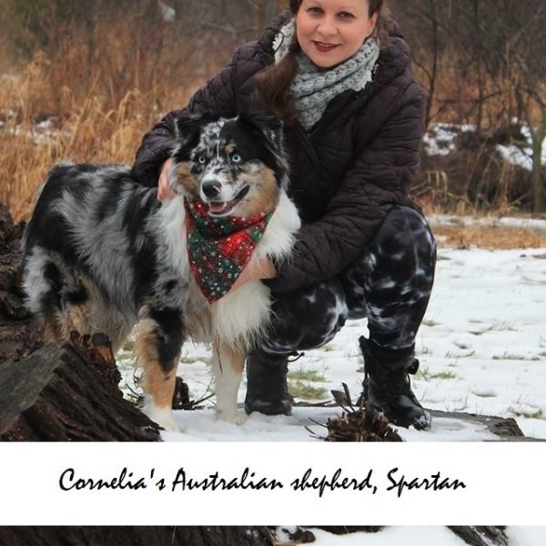 Cornelia’s Australian shepherd, Spartan