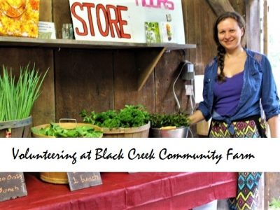Volunteering at Black Creek Community Farm